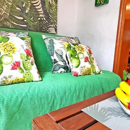 Apartment Palm In