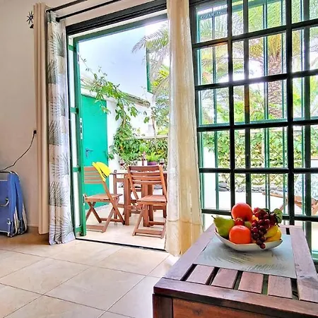 Palm In Apartamento