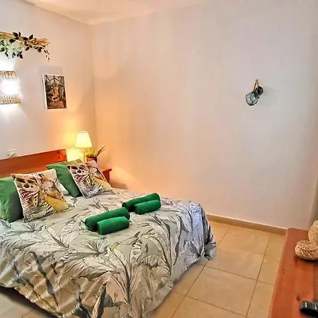 Palm In Apartment Costa Calma